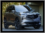 2022, Acura MDX