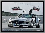 Mercedes Benz SLS