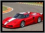 Ferrari FXX, Wyścigówka