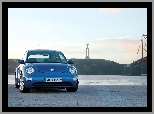 Volkswagen New Beetle