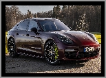 Porsche Panamera E, Hybryda