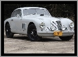 Zabytkowe, Aston Martin DB2, Auto